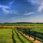 Valore terreno agricolo: da oggi cambia tutto, ecco quanto potrebbe valere il tuo