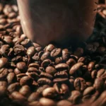 Perché mettere i fondi del caffè nelle piante? Ecco le incredibili conseguenze