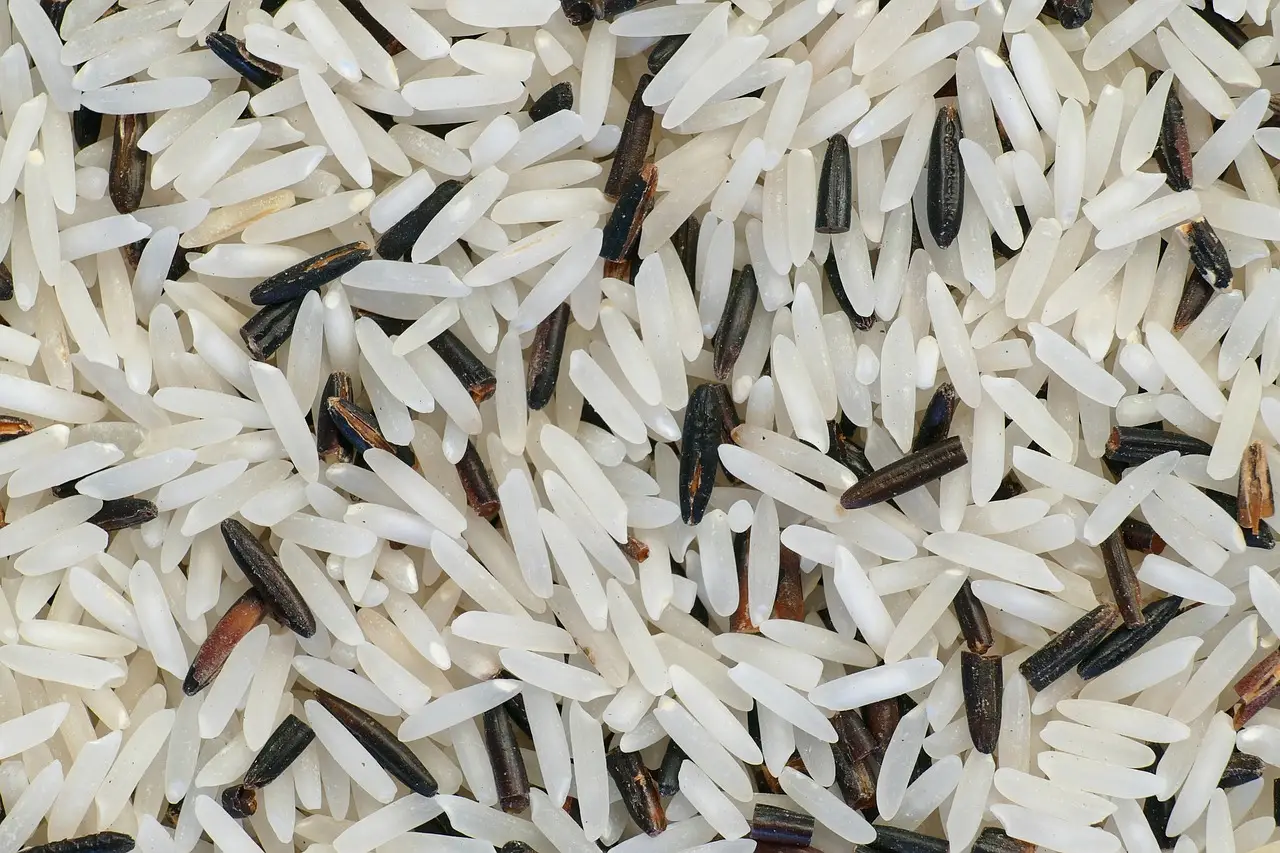 Come cucinare il riso basmati per abbassare l’indice glicemico