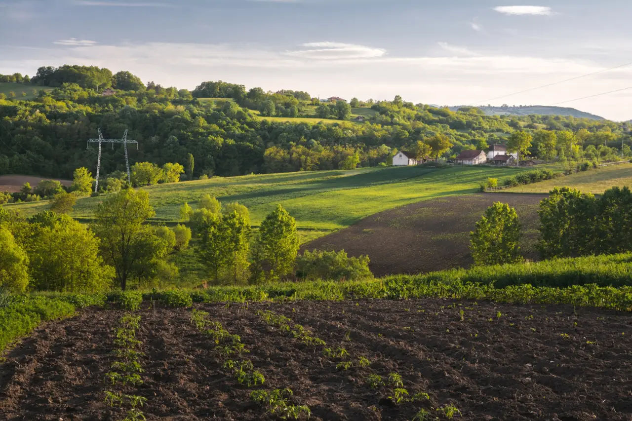 Quanto vale un terreno agricolo? Ecco la risposta