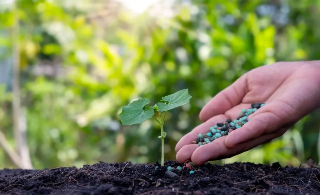 Ecco il fertilizzante naturale che fa crescere le piante più velocemente: come si usa?