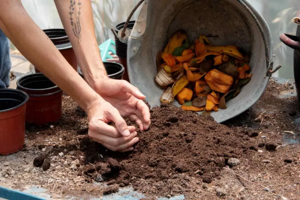 Questa signora ha creato un fertilizzante fatto in casa: ecco cosa ha fatto