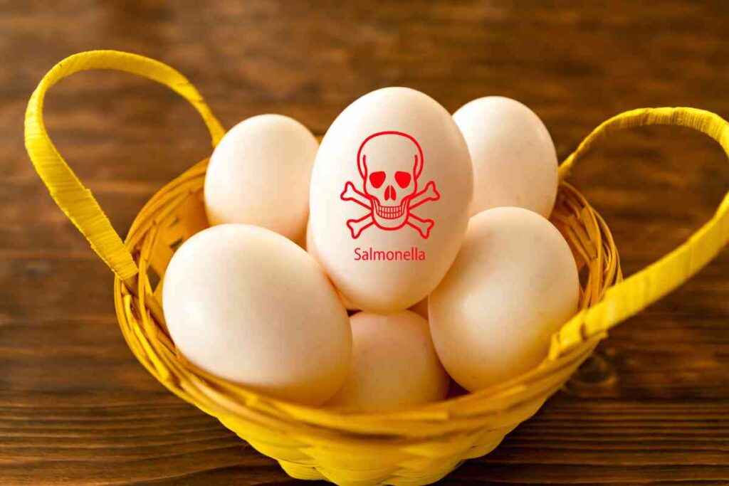 Uova infette, allarme epidemico di salmonella: 67 persone colpite, lotti pericolosi si sono ritirati dal mercato