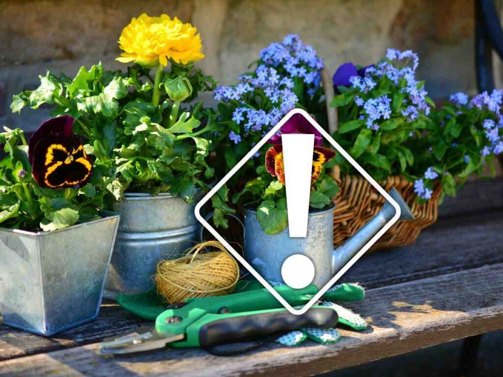 Punem toate aceste plante în grădină, dar astfel atragem cele mai periculoase insecte: puteți evita probleme mai slabe cu aceste trucuri simple