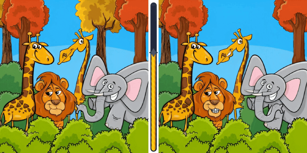 Sfida visiva: riesci a scovare le 5 differenze nascoste tra queste due immagini di animali selvaggi?