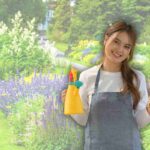 Dacă doriți o grădină fermecătoare, dar nu aveți un deget verde, iată planta care face totul singur ”: magnific