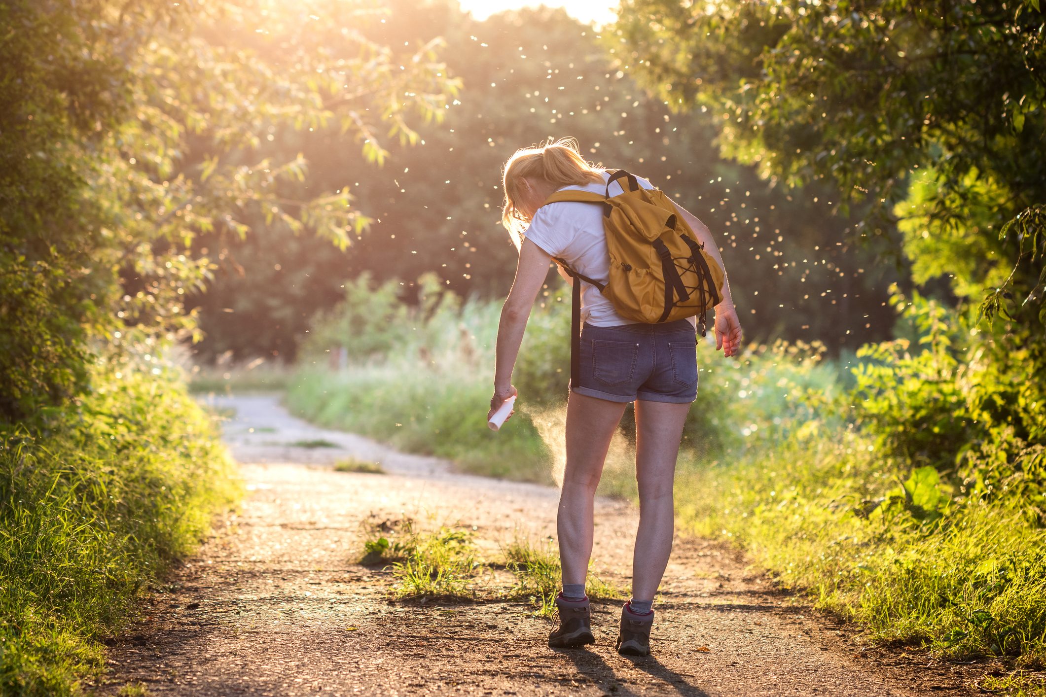 10 piante efficaci per allontanare le zanzare: soluzioni naturali e profumate