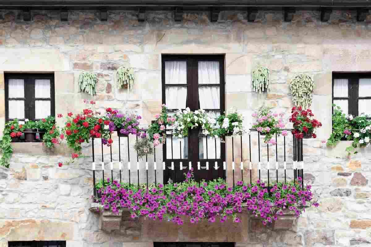 Lidl, con l'ultima offerta incredibile, il tuo balcone sarà l'intera eco del quartiere che ha