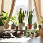Plante pentru furnizarea casei: petreceți mult mai puțin decât o piesă de mobilier și nu necesită o atenție deosebită