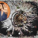Scufundări de scufundări, ai nevoie de un ingredient care este în bucătărie și să te întorci ca un nou: uită incrustările și mirosurile proaste