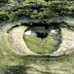 Test vizual, ceea ce vedeți mai întâi vă dezvăluie personalitatea: aflați cine sunteți cu adevărat