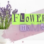 Acasă vreau un parfum natural și proaspăt în fiecare zi: aceste flori sunt soluția perfectă