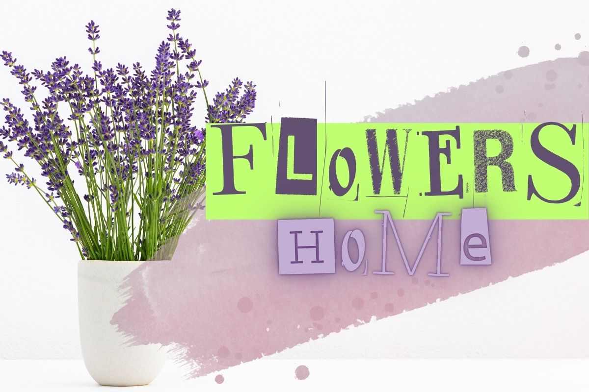 Acasă vreau un parfum natural și proaspăt în fiecare zi: aceste flori sunt soluția perfectă