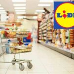 Lidl è davvero esagerato, non credi nel prezzo: molti prodotti inferiori a 2,50 euro, i risparmi sono garantiti