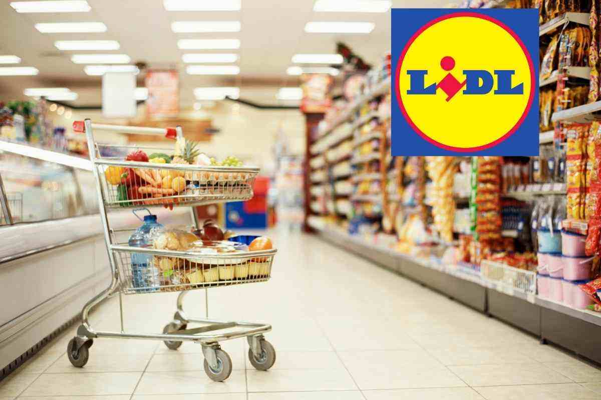 Lidl è davvero esagerato, non puoi crederci al prezzo, ecco la notizia