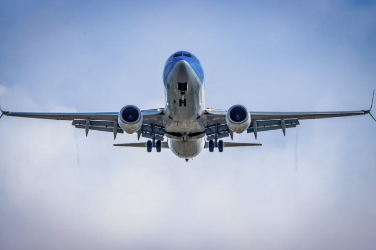 Asistentul de zbor dezvăluie în sfârșit adevărul: „Nu -l mâncați niciodată cu avionul”, este dezgustător