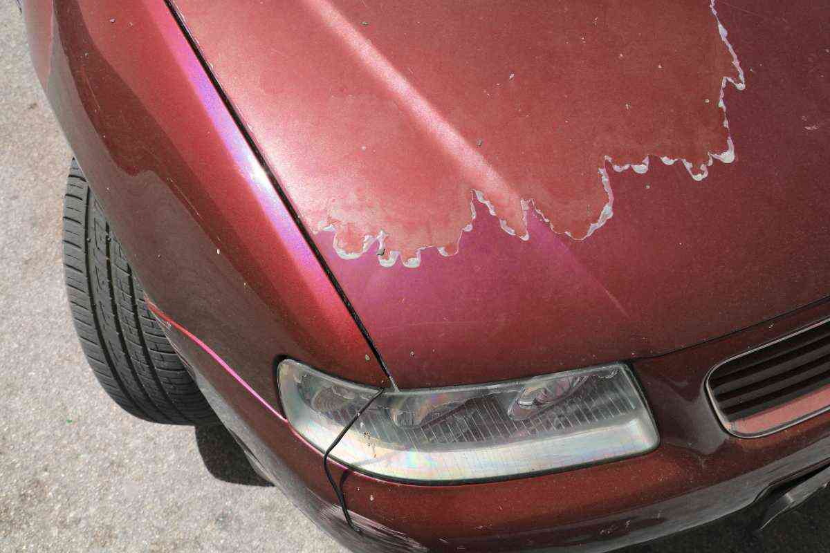 Il sole cocente rovina la vernice dell’auto? La soluzione è semplicissima, si fa così