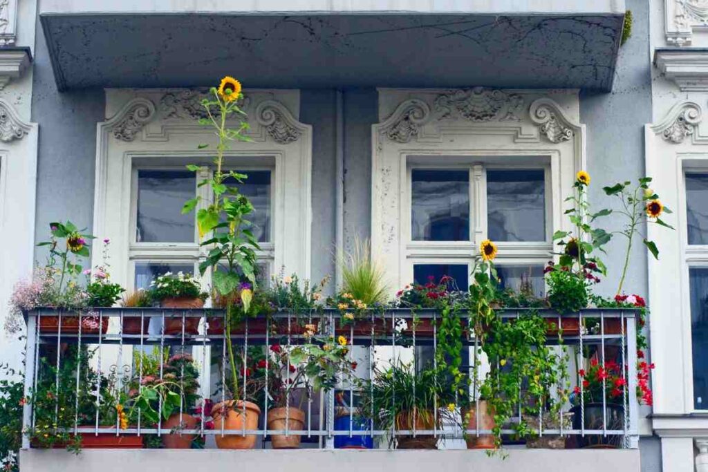Apa pe balconul de la podea de deasupra? Regulile condominiului sunt foarte severe și merită peste tot