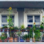 Apa pe balconul de la podea de deasupra? Regulile condominiului sunt foarte severe și merită peste tot