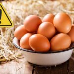 Uova, è questo marchio: ritiro di massa, assolutamente non consumare