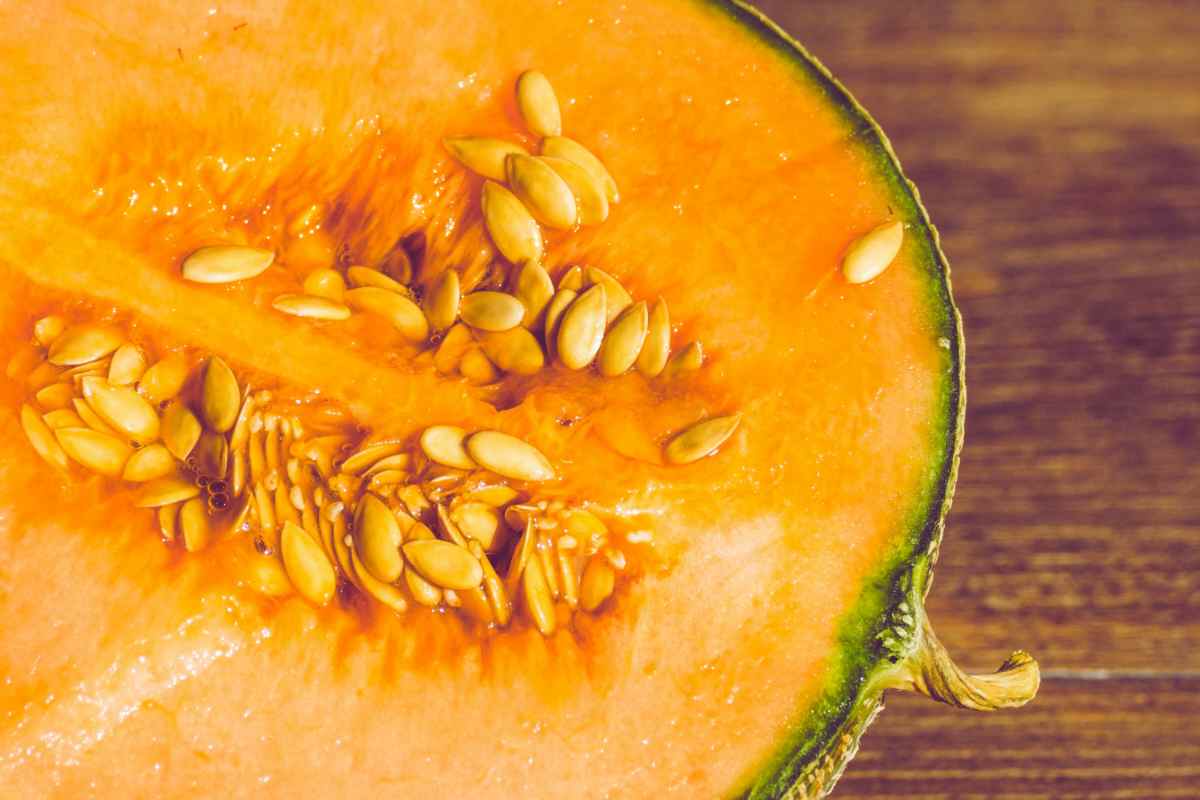 Melon Seeds, li uso in questo modo e risparmio centinaia di euro