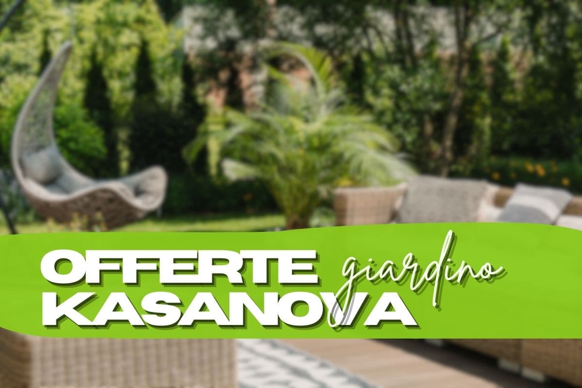 Furnizând grădina cheltuind mai puțin? Cele mai recente oferte Kasanova spun da