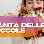Planta care te face să răsfățați: rezistent și perfect pentru terase și balcoane