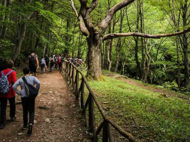 Parco Nazionale Casentinensi
