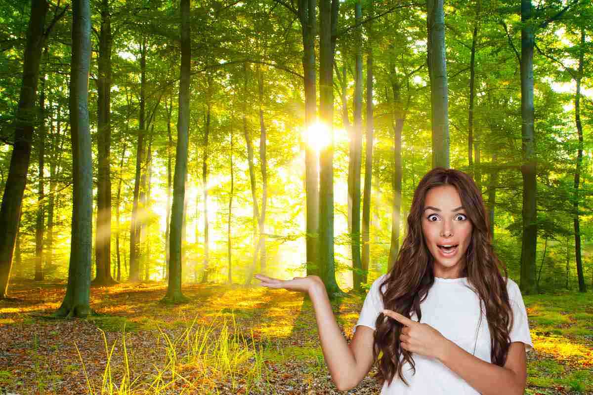 È una foresta intrisa di storia dove sgorgano cascate e sorgono vulcani: si trova in Italia